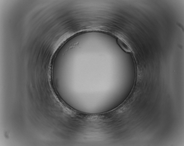 X0000101201093200807111003