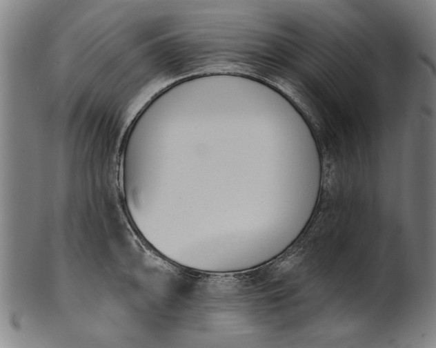 X0000101201094200807111003