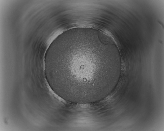 X0000101201095200807111003