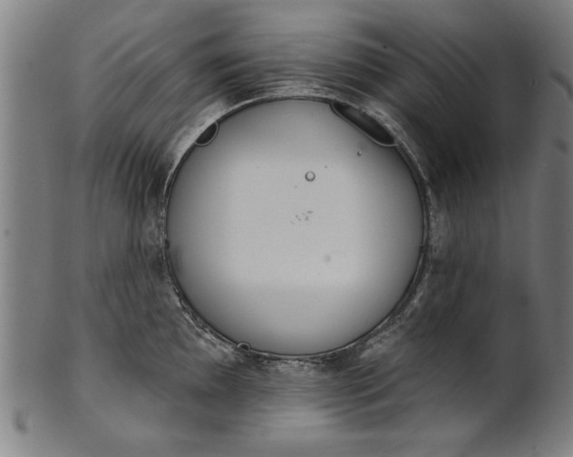 X0000101201097200807111003