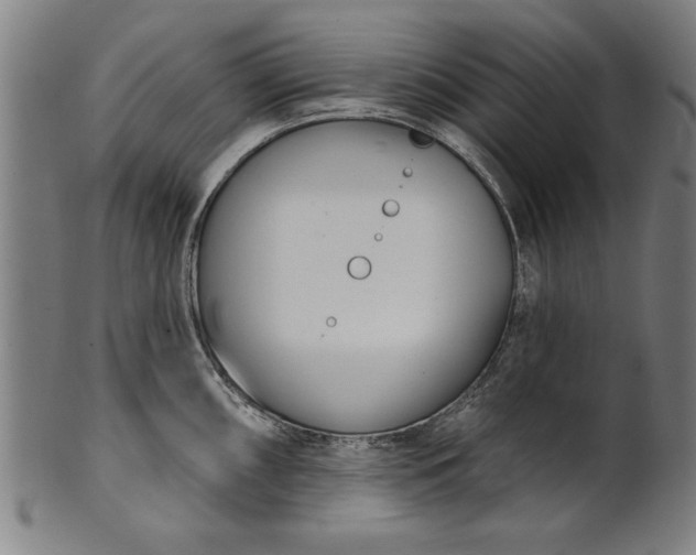 X0000101201098200807111003