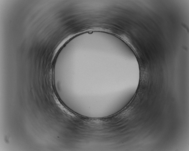 X0000101201100200807111003