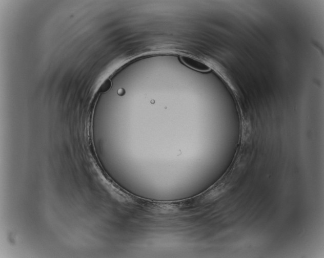 X0000101201101200807111003