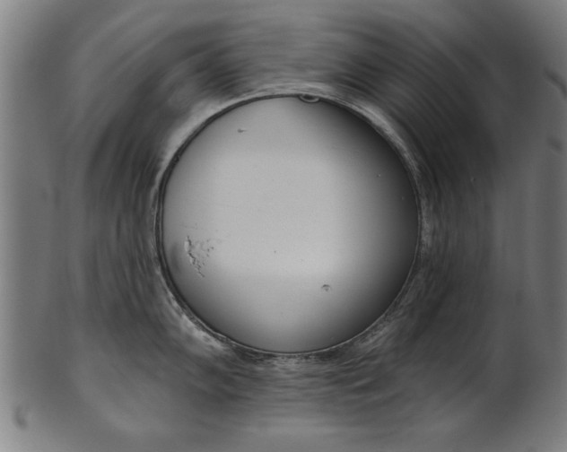 X0000101201102200807111003