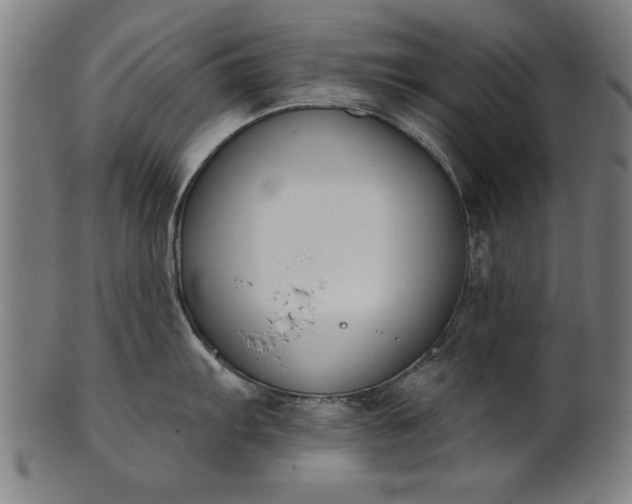 X0000101201103200807111003