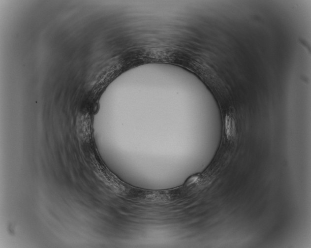 X0000101201107200807111002