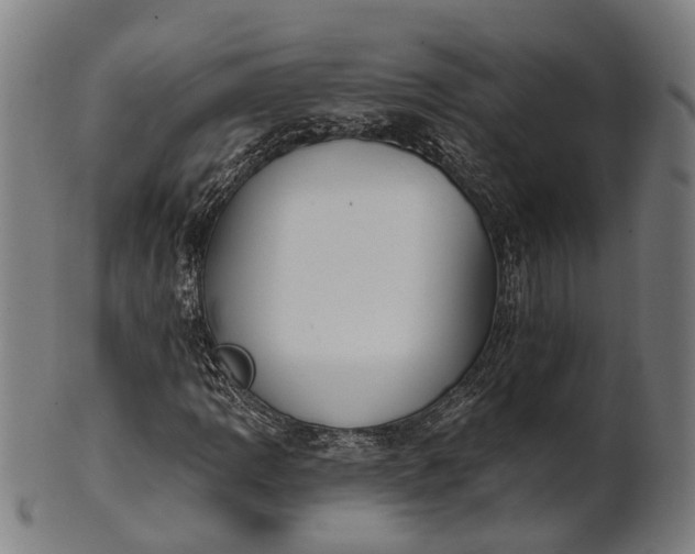 X0000101201109200807111002