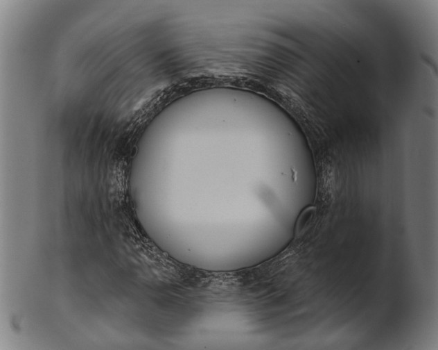 X0000101201110200807111002