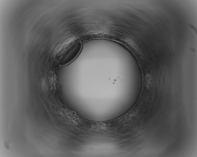 X0000101201111200807111002