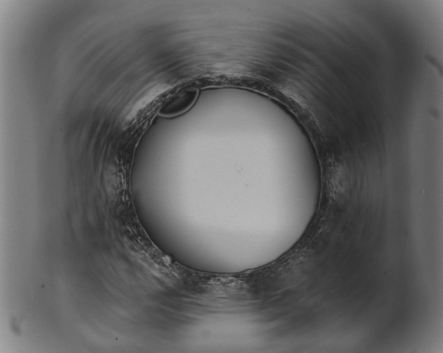 X0000101201112200807111002