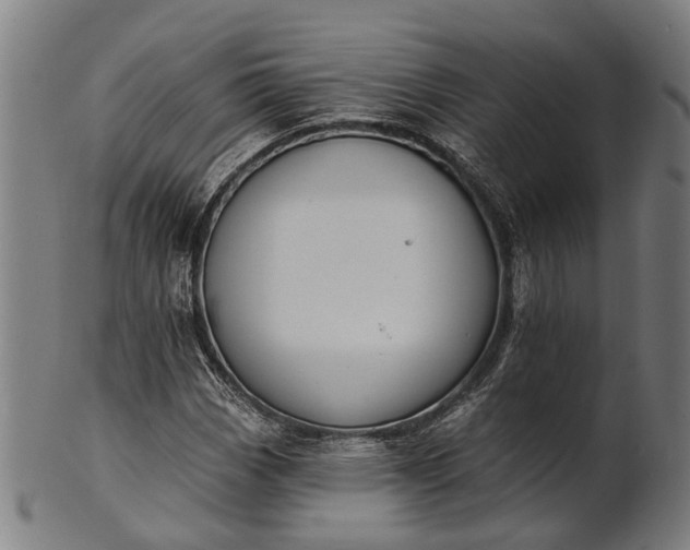 X0000101201113200807111003