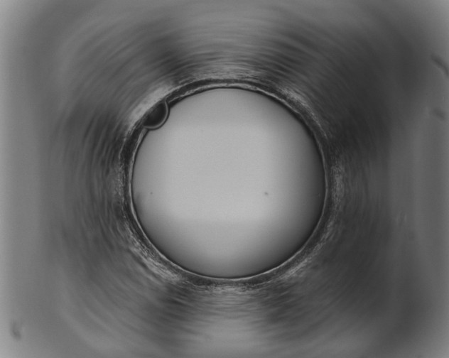 X0000101201114200807111003