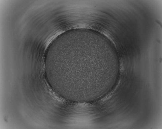 X0000101201117200807111003