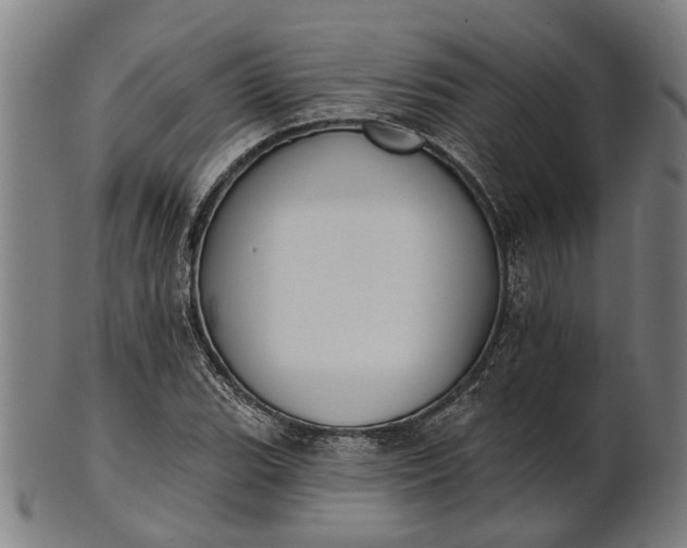 X0000101201119200807111003