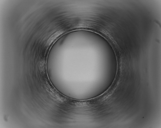 X0000101201121200807111003
