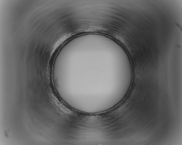 X0000101201122200807111003
