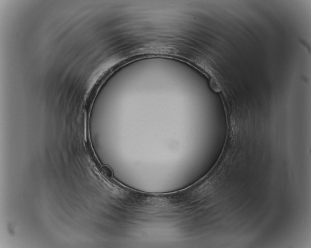 X0000101201123200807111003