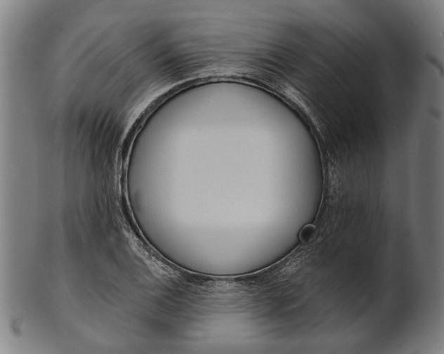 X0000101201124200807111003
