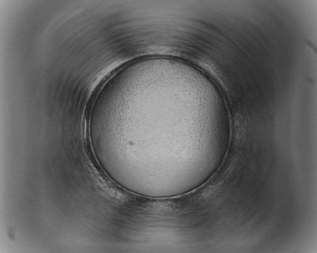 X0000101201125200807111003