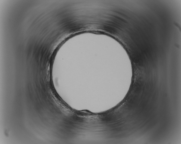 X0000101201126200807111003
