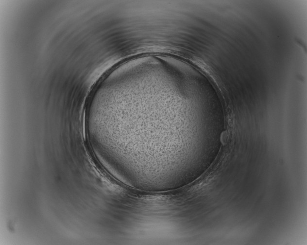 X0000101201127200807111003