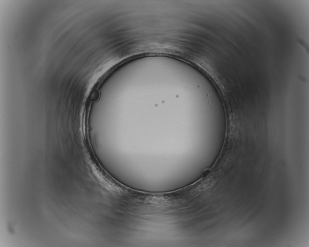 X0000101201128200807111003