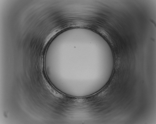 X0000101201130200807111003