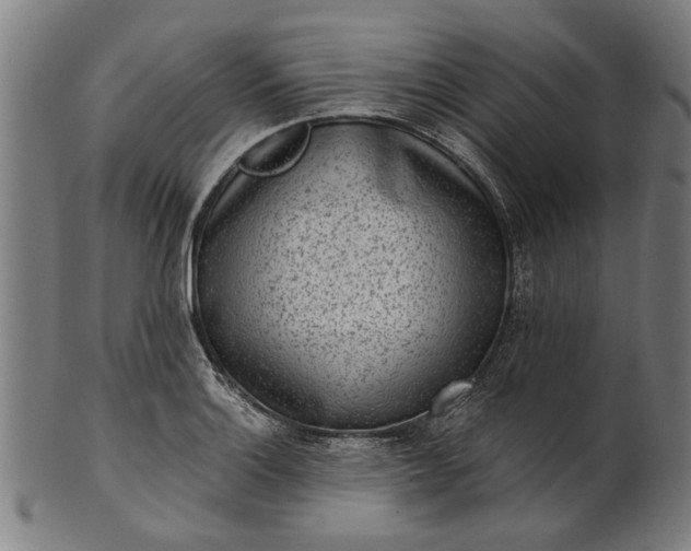 X0000101201132200807111003