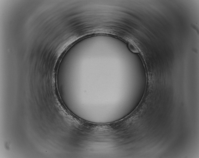 X0000101201133200807111003
