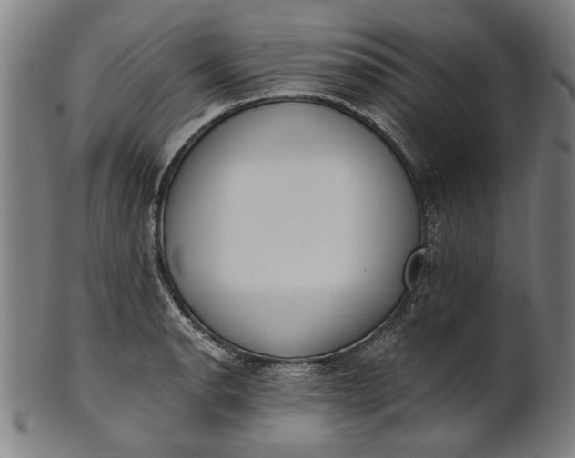 X0000101201134200807111003