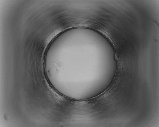X0000101201135200807111003
