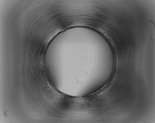 X0000101201137200807111003
