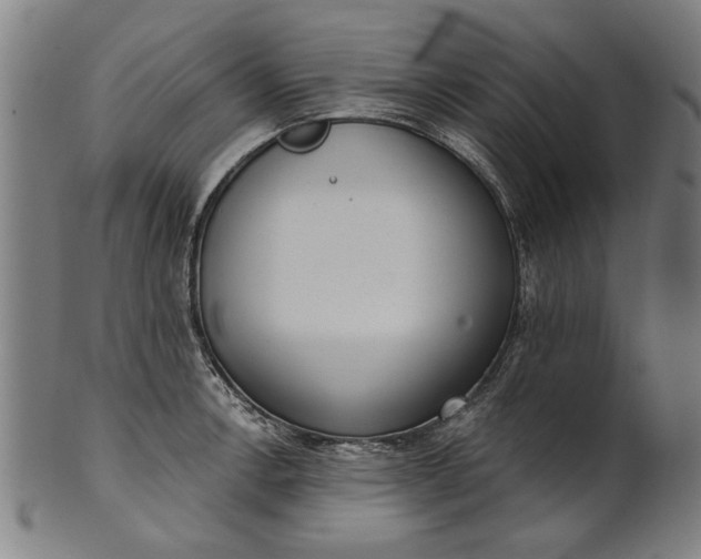 X0000101201138200807111003