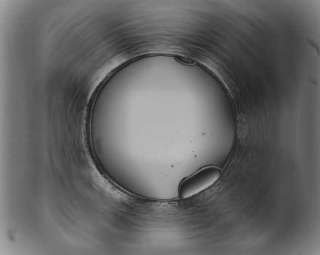 X0000101201139200807111003