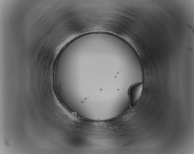X0000101201142200807111003