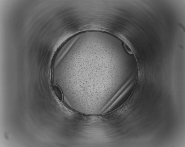 X0000101201144200807111003