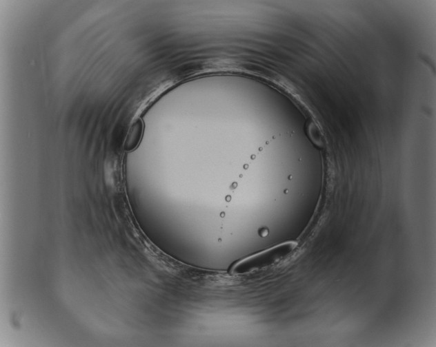 X0000101201145200807111003