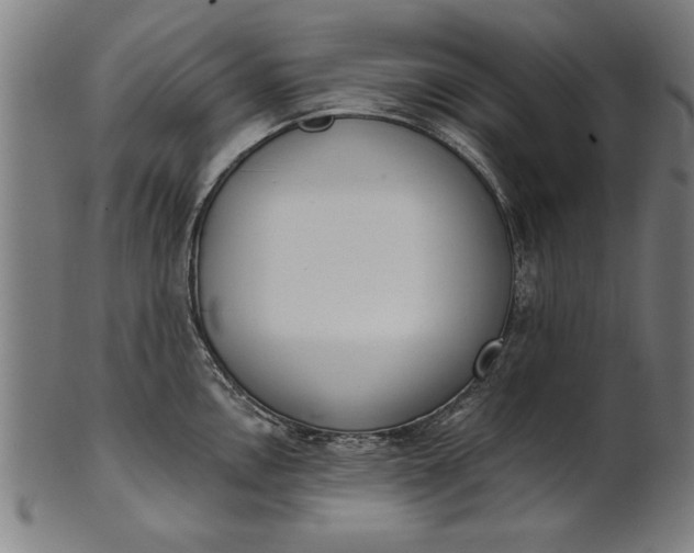X0000101201146200807111003