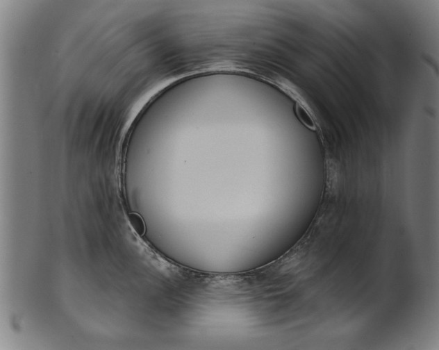 X0000101201148200807111003