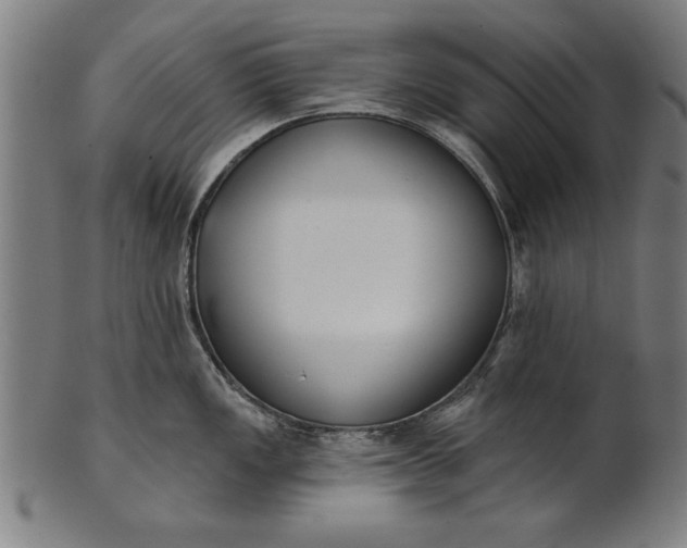 X0000101201149200807111003