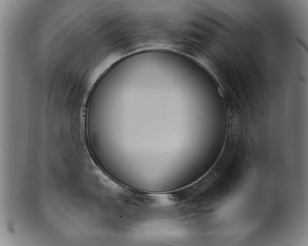 X0000101201151200807111003