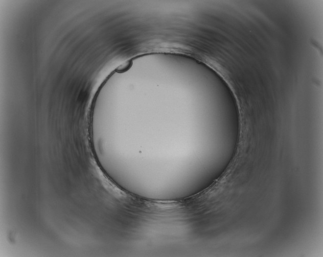 X0000101201152200807111003