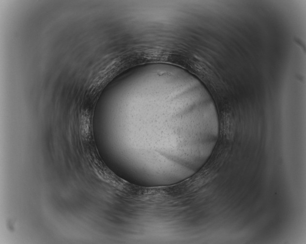X0000101201154200807111002