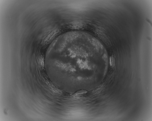 X0000101201155200807111002