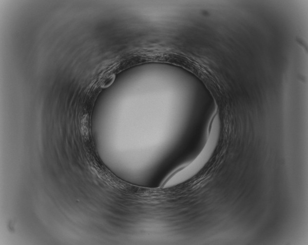 X0000101201156200807111002