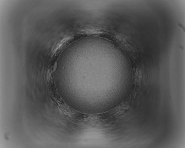 X0000101201157200807111002