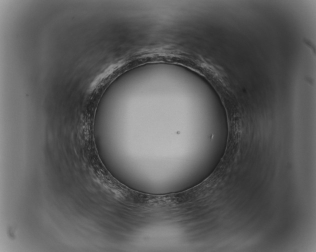 X0000101201159200807111002