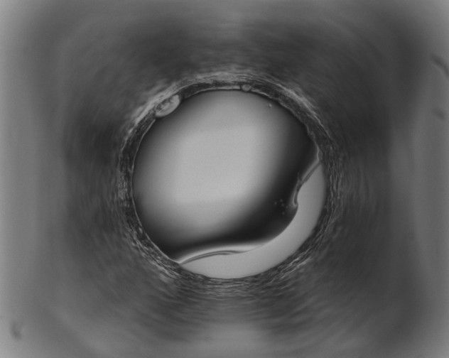 X0000101201160200807111002