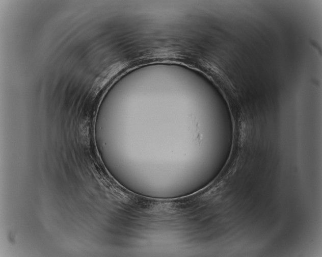 X0000101201162200807111002