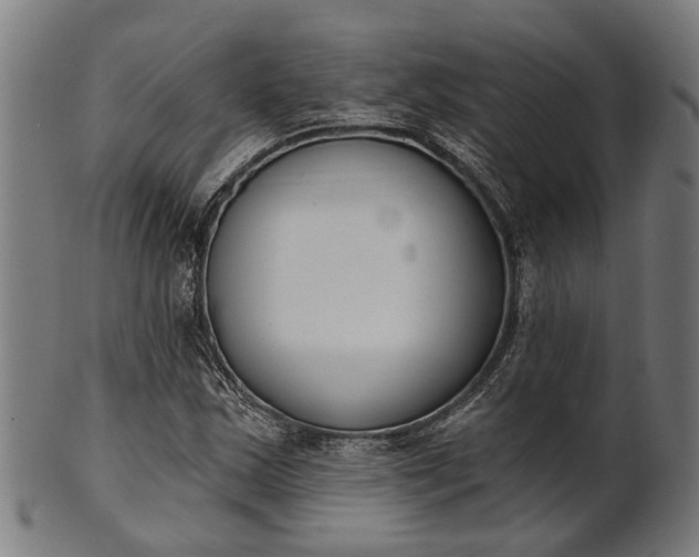 X0000101201163200807111002